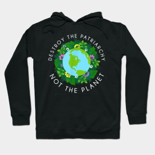 Destroy the patriarchy not the planet Hoodie